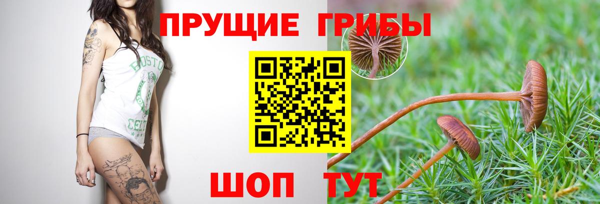 Галлюциногенные грибы GOLDEN TEACHER Ижевск